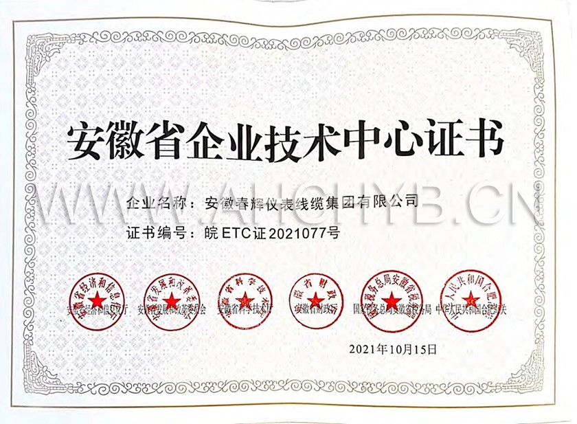 2、安徽省企業(yè)技術(shù)中心證書.jpg